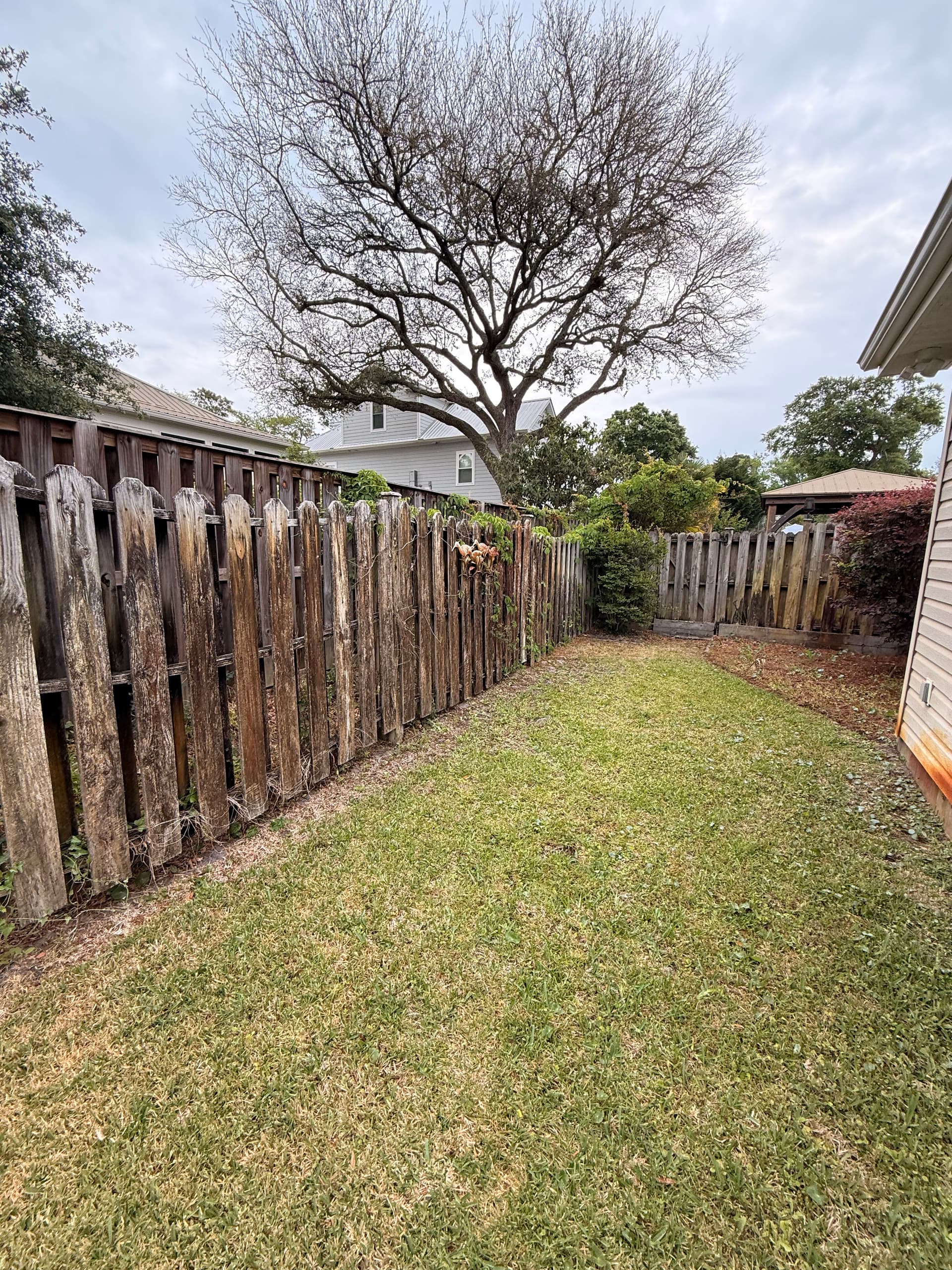 Gallery photos for Old Weathered Fence Replaced With Fresh Pressure-Treated Wood: Image #2