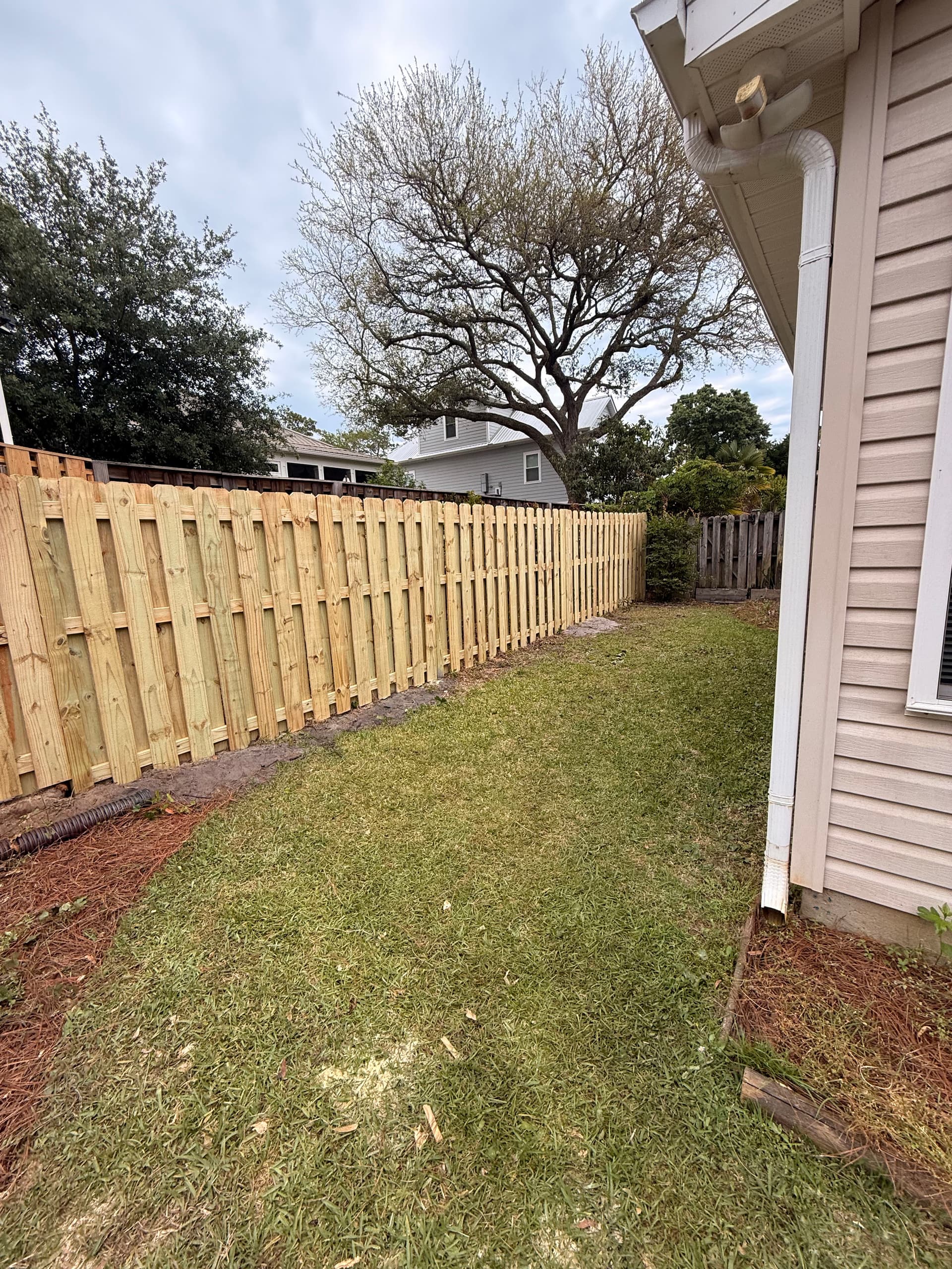 Gallery photos for Old Weathered Fence Replaced With Fresh Pressure-Treated Wood: Image #6